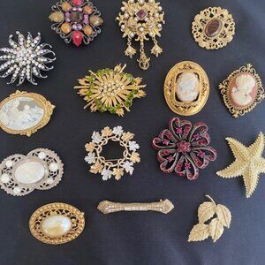 Vintage Brooches 15 Total